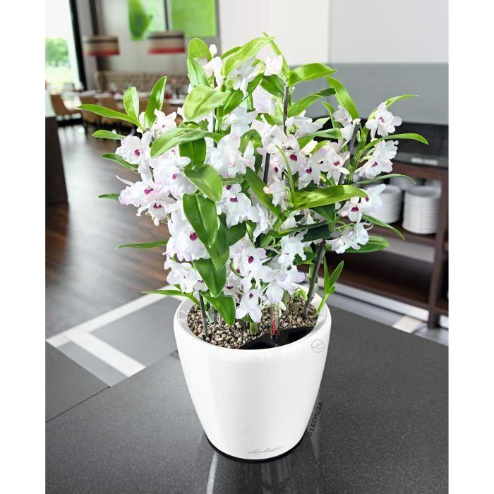 LECHUZA Pot de fleurs - Classico Premium LS 21 - Ø 22 x 20 cm - 3 L - Kit complet - Arrosage automatique - Blanc brillant