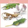 High Quality Realistic Animal Models Featuring Stag Beetle Leaf Mantis And Other Stunning Insect Designs