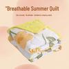 INS Skin-Friendly Washable Cotton Summer Quilt - Brushed Flannel Cooling Blanket for Dorms