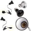 Reptile Insulated Lamp Fixing Clip Adjustable Lamp Holder UVA UVB Bulb Feeding Box Timeable Heat Lamp for Lizard Supplies Turtle