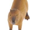 New Simulation Mini Cute Wild Animals Model Figurines Capybara Action Figure Children'S Collection Toy Gift