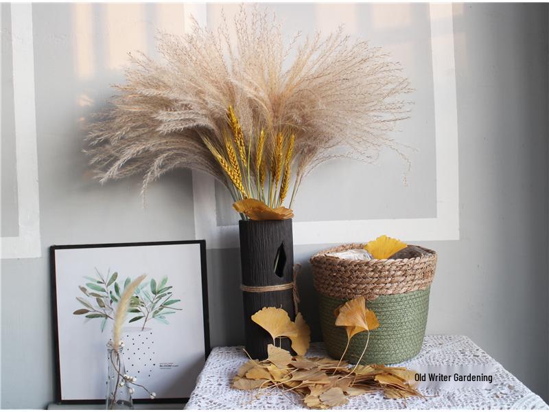 Ginkgo Leaf Plant Specimen - Pressed Flower Material for Handmade Projects & Desktop Decor