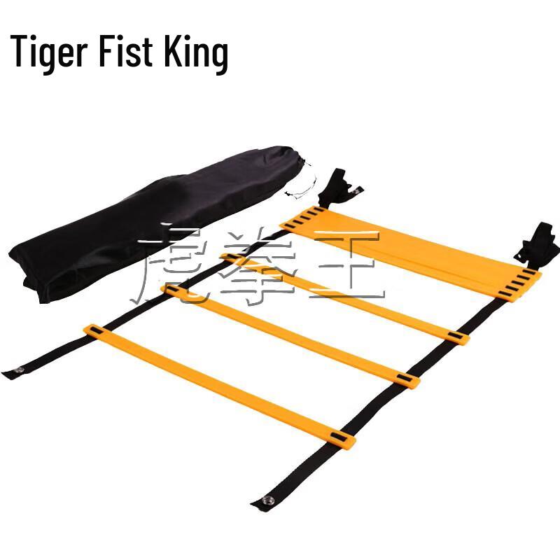 Agility Training Ladder