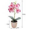 Artificial Orchid Orange-red White White Plus Rose