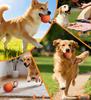 PetSmart Electric Dog Toy: Waterproof, Bite-Resistant E-TPU Bouncing Ball with Rope for Interactive Teething
