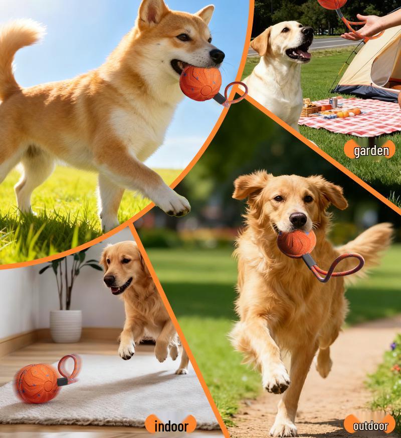 PetSmart Electric Dog Toy: Waterproof, Bite-Resistant E-TPU Bouncing Ball with Rope for Interactive Teething