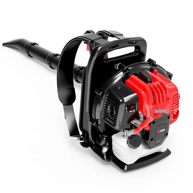 High-Power Multifunctional Backpack Blower CN plug (adapter included)