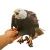 Outdoor Garden Ringing Owl Shape to Deter Birds Hanging Pendant Bird Scarer Gadget with Reflective Strap for Outdoor