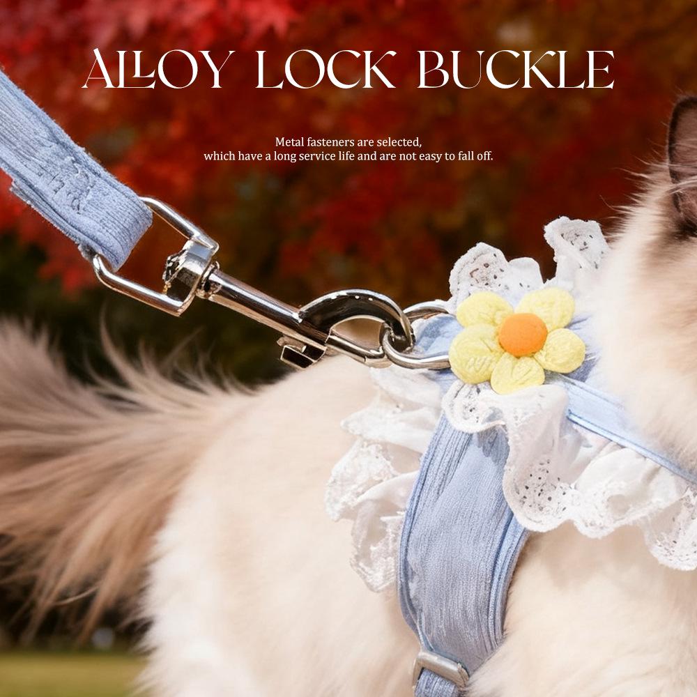 Corduroy Cat Princess Dress & Leash Set with Lace Trim