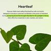 ABIB Heartleaf Calming Trial Kit