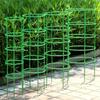 12 Set Plant Support Pile Half Round Climbing Vines Stake Bonsai Fixing Rod Garden Plant Stake Holder Flower Ring Support Rack