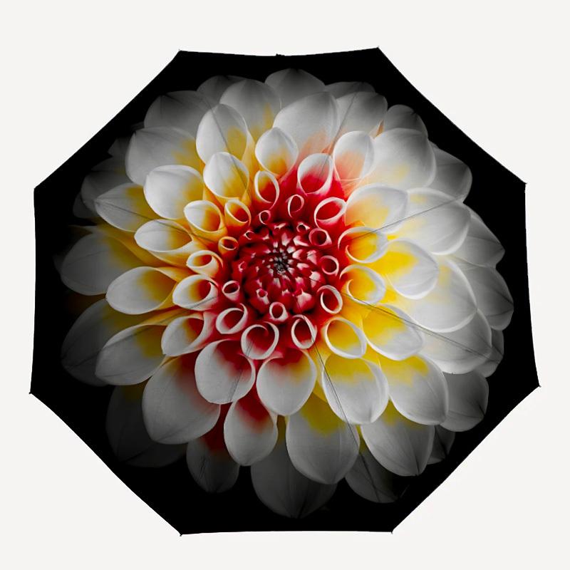 1pc Dahlia Flower Pattern Automatic Open/Close Umbrella - Compact Travel Umbrella, Gift for Birthdayyy251208187
