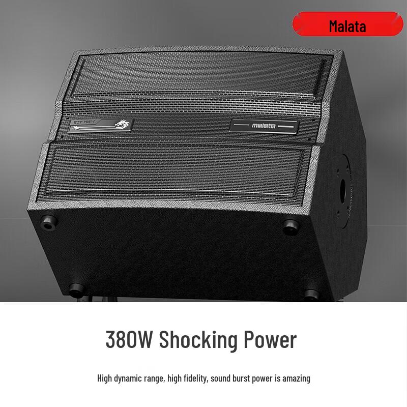 Malata M+9580 Portable High-Power Instrument Speaker (CN Version)