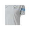 Puma 2022-23 Manchester City Letter V-Neck Fitted Short Sleeve Drop Shoulder T-Shirt Men T-Shirt Gray Purple 767748-14