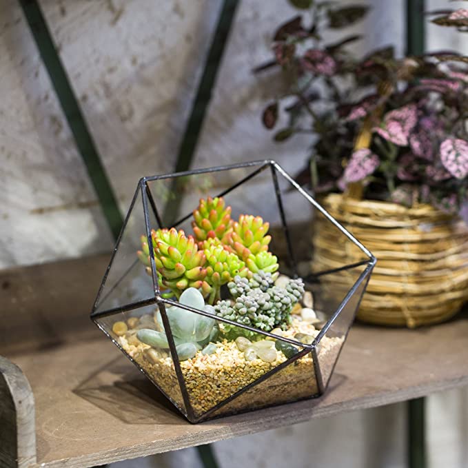 Mini Glass Geometric Terrarium Container Gold Terrarium Set Glass Flower Pot Planter Vase Bowl Display Box Decor