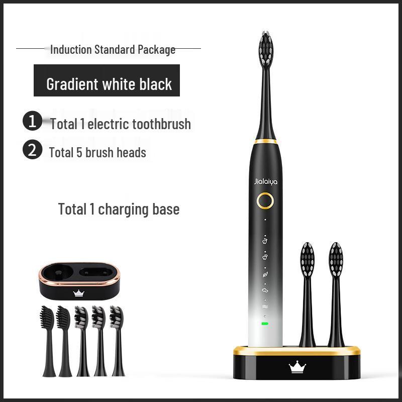 

DSK Smart Sonic Electric Toothbrush