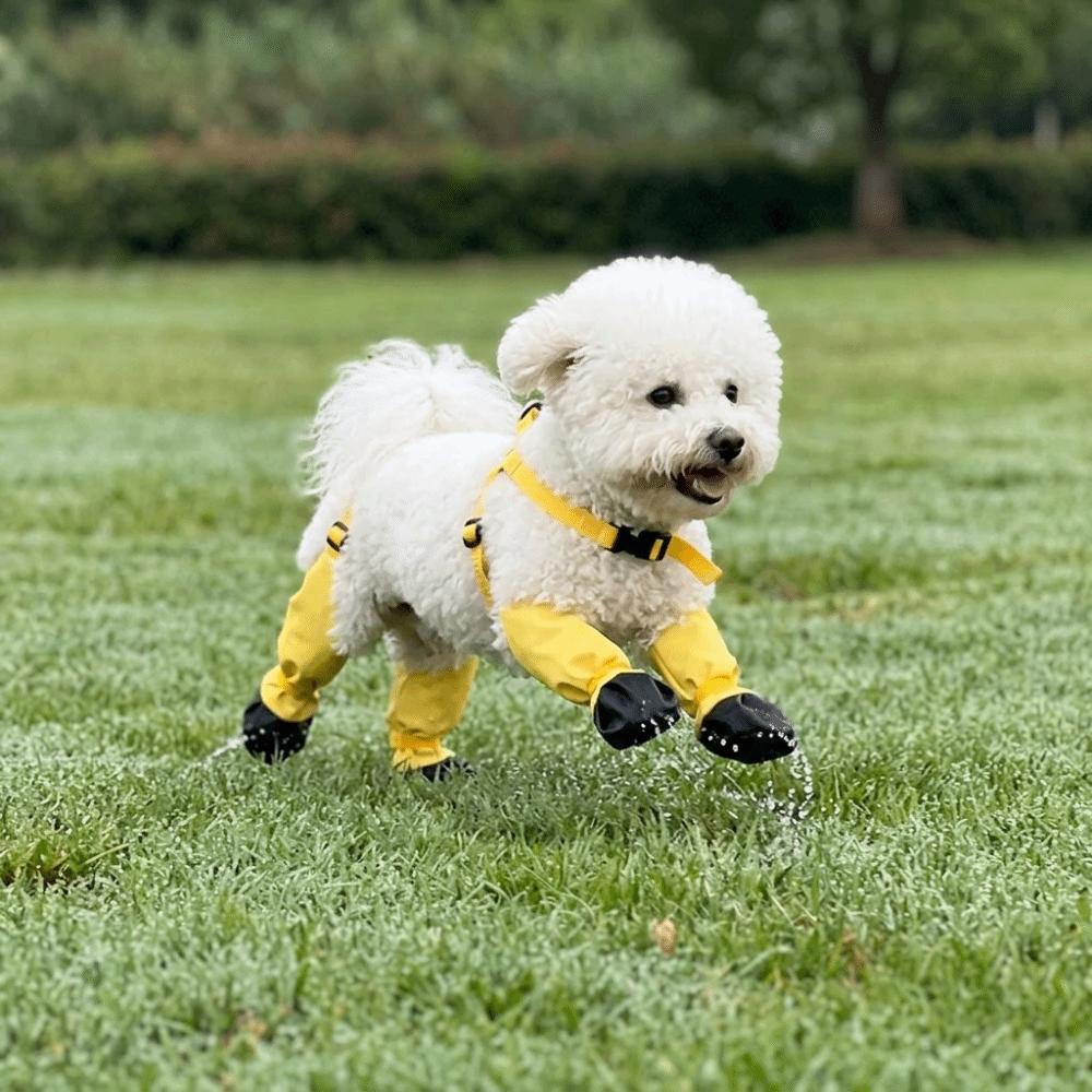 All Season Fit Dog Shoes Splash Block Dog Footwear Ground Isolate Pet Boots  Rainy Day Use