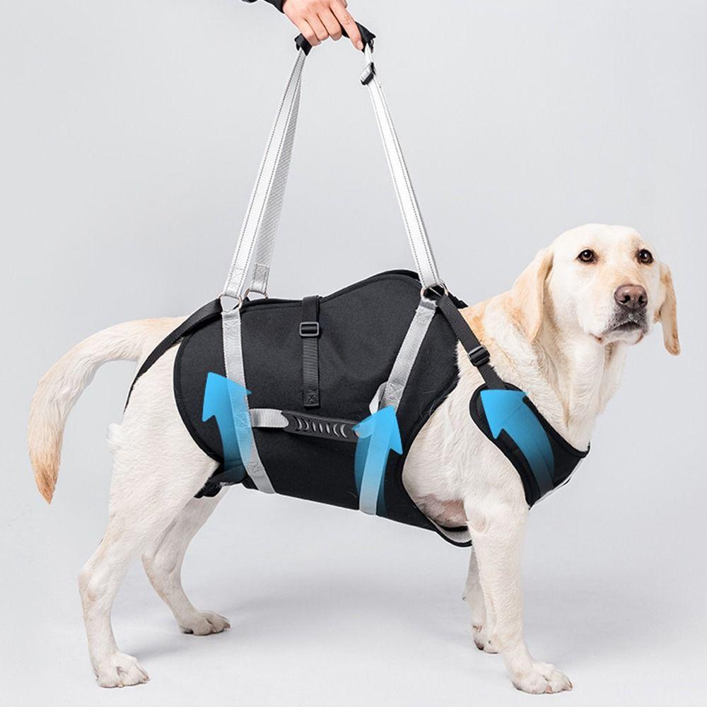 Breathable Large Dog Lift Harness Adjustable Dog Sling Carrier Pet Chest Sling Brace Daily Use