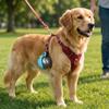 Portable Dog Water Bottle with Bowl 2-in-1 Outdoor Water Cup  Cat Dog Walking