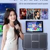 SANSUI Portable Karaoke System with Display (CN version)