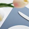 1/6/10PCS Placemats Leather Table Mats Waterproof Heat-Resistant Easy to Clean for Dining Table Set Kitchen Table Light Blue