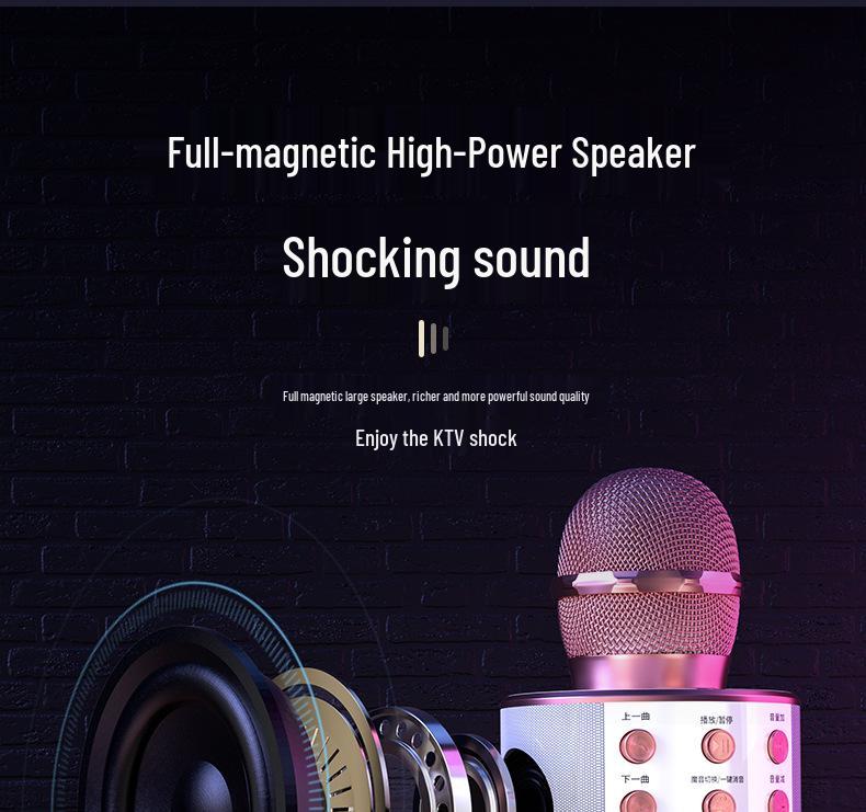Wireless Bluetooth Home KTV Singing Microphone and Speaker - Model 858