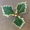 Holiday Leaves and Red Berries Christmas Tree Ornaments - Festive Vine Accessories