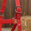 Adjustable Horse Halter Metal Strapping PP Headstall for Equestrians, Stable,