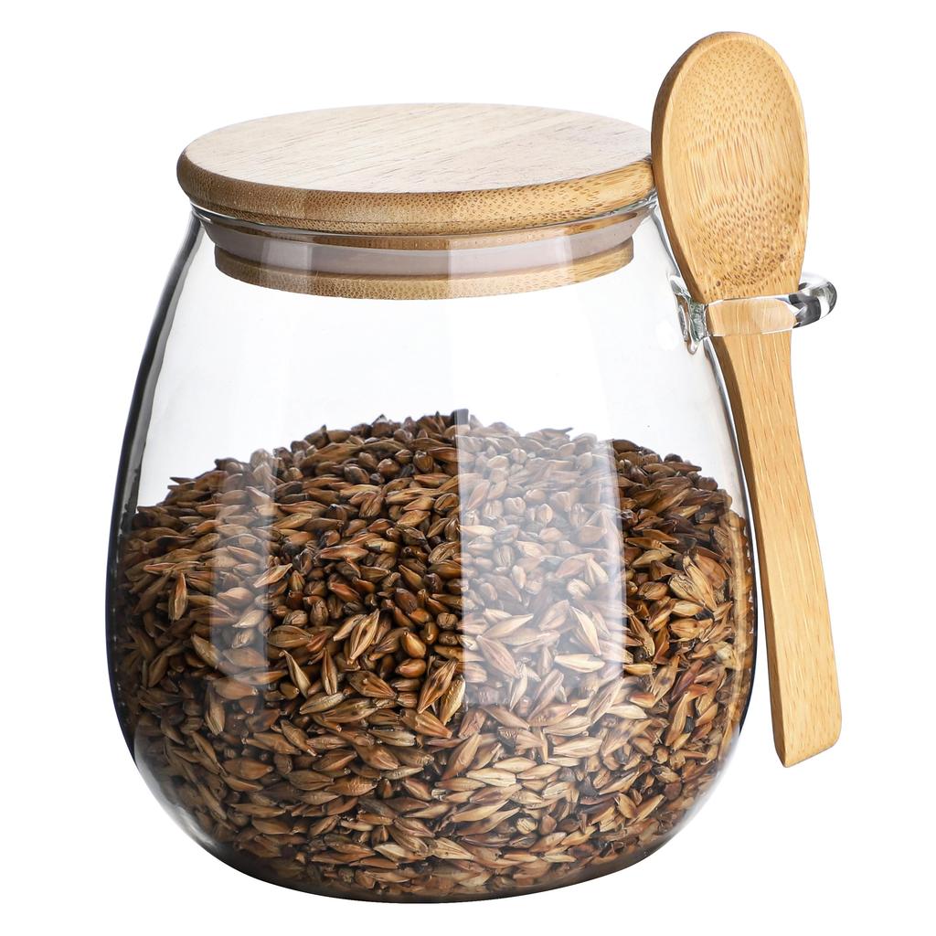 600ml Glass Storage Container, Airtight Coffee Canister with Bamboo Lid and Bamboo Spoon