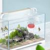 Professional Aquarium Oxygen Diffuser Air Bubbler for Fish Tank Oxygenation Compact Design Sturdy Acrylic Construction Easy