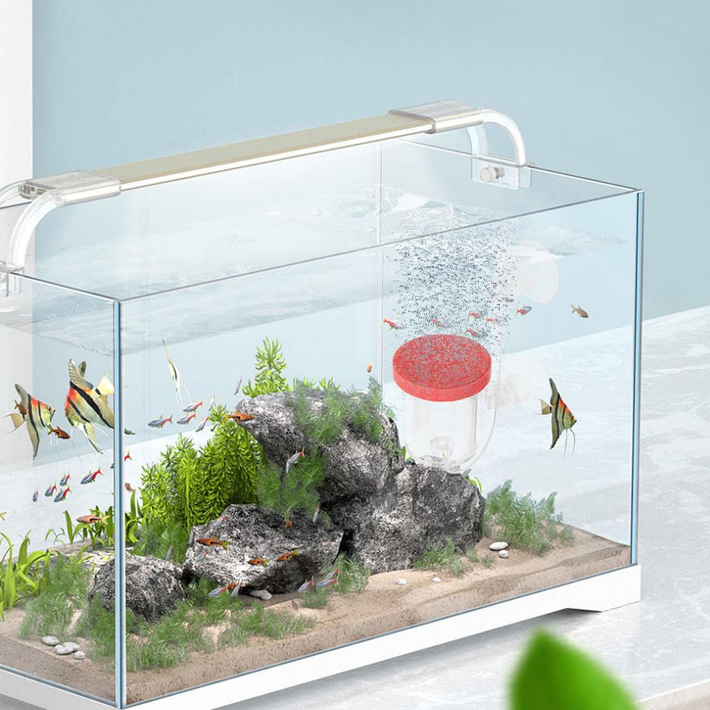 Professional Aquarium Oxygen Diffuser Air Bubbler for Fish Tank Oxygenation Compact Design Sturdy Acrylic Construction Easy