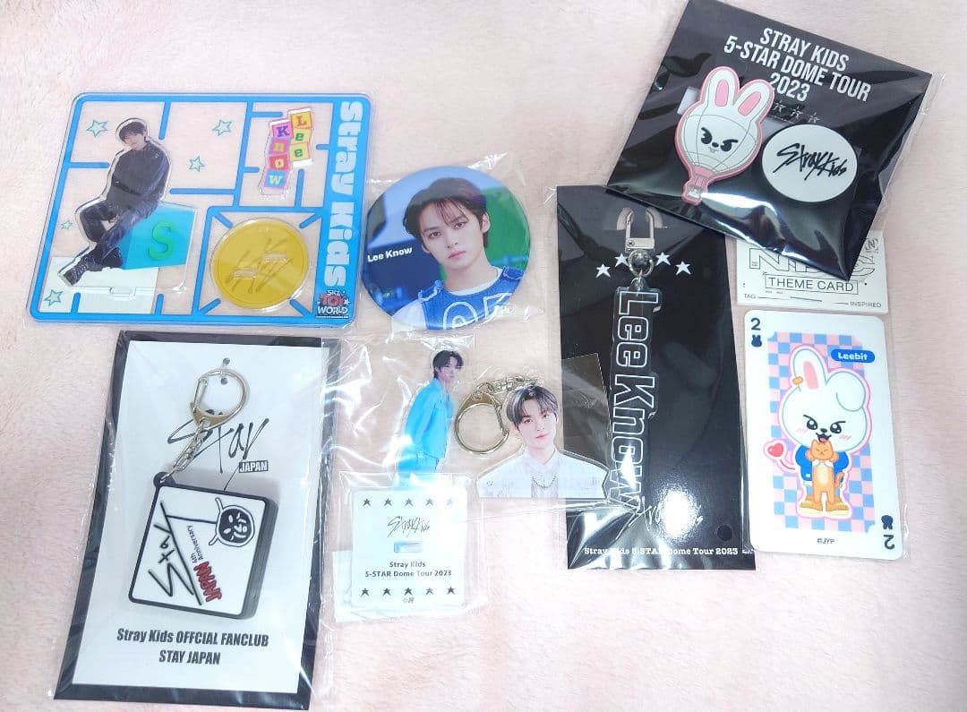 

[Б/У] Акриловая подставка Reno Stray Kids Голосовой брелок Leavitt Stray Kids