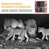 Cross-border HD Wildlife Camera: Outdoor Anti-Hunting, Night Vision, Cold-Resistant Security Camcorder
