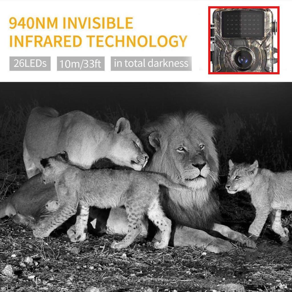 Cross-border HD Wildlife Camera: Outdoor Anti-Hunting, Night Vision, Cold-Resistant Security Camcorder