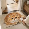 Absorbent Entryway Rug Diatomite Pet Floor Mat Practical Cat Print Doormat  Hallway