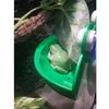 Tree Frog Nest Climbing Rainforest Terrarium Tree Frog Habitat Platform Reptile Enclosure Creative Landscape Frog Plastic Basin