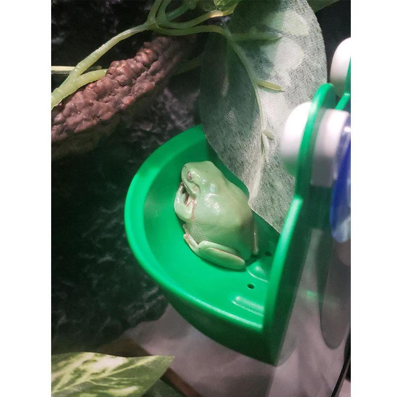 Tree Frog Nest Climbing Rainforest Terrarium Tree Frog Habitat Platform Reptile Enclosure Creative Landscape Frog Plastic Basin