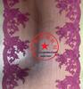 **Fishbone Strapless Ultra-Thin Lace Bra - Sexy French-Style Lingerie**