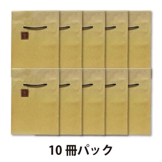 Ehime Paper Geschenkpapier-Papiertüten mit Deckel-Packung, 10, GBAG-FUTA-10P