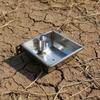Floating Valve Waterer Heavy Duty Automatic Livestock Water Bowl Easy to Clean Stainless Metal