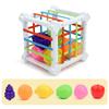 Baby Montessori Sensory Toys Shape Sorter Cube Baby Toys with Colorful Fruits Activity Learning Fine Motor Skill for 1 Year Old