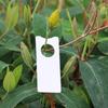 800pcs Plant Labels Wrap Around Tree Sign Markers Regulable Nursery Garden Labels for Outdoor Use In Gardens Orchards