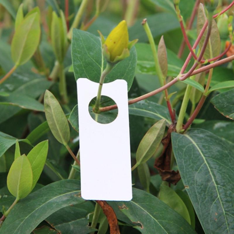 800pcs Plant Labels Wrap Around Tree Sign Markers Regulable Nursery Garden Labels for Outdoor Use In Gardens Orchards