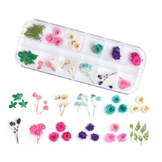 Nail Art Trockenblumen Einzigartige exquisite konservierte Nagelaufkleber aus Kunststoff für Nagelstudios