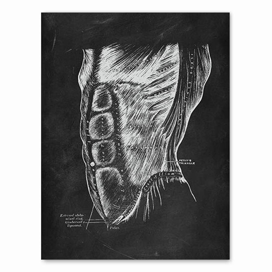 Human Anatomy Artwork Medical Clinic Wall Picture Skeleton Organ Muscle System Vintage Canvas Print Body Education Poster