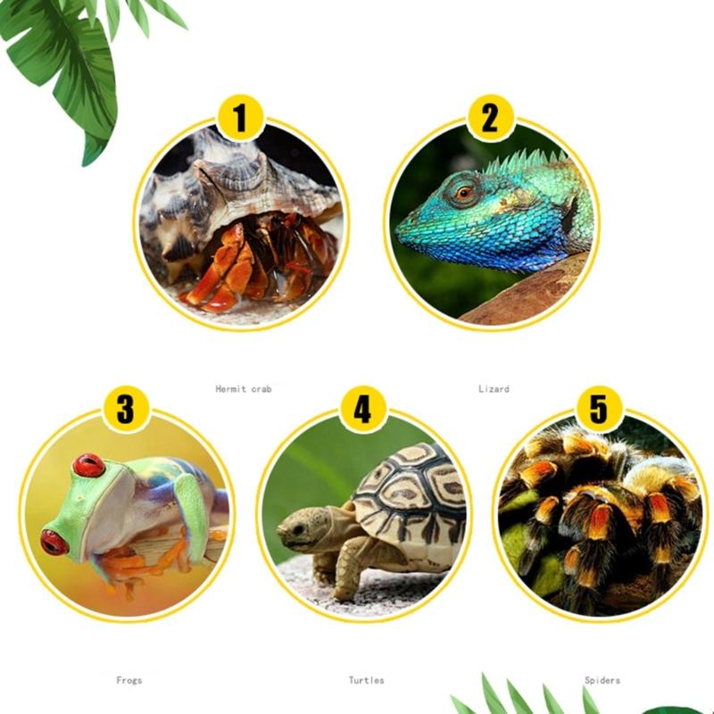 Insect Feeding Box Acrylic Clear Breeding Case for Spiders Reptiles Lizards Centipedes Small Snake 2 Size