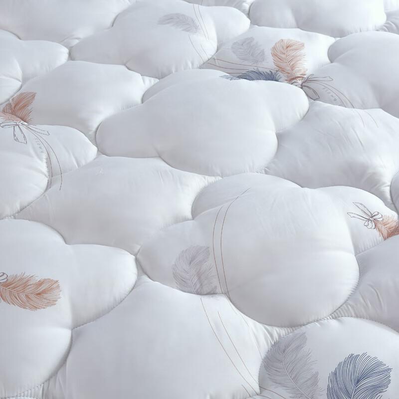 PLOVER Skin-Friendly All-Season Quilt