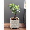 Concrete Flowerpot On Ethnic Legs 13 Cm Gray