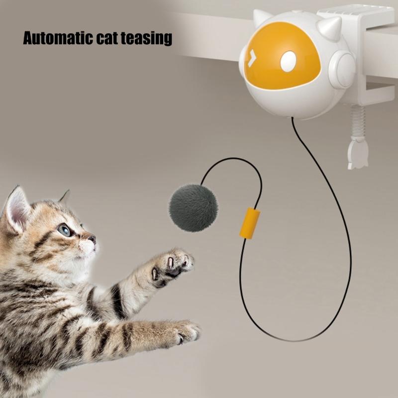 Bouncing Toy Cats and Felines Fun Exercise and Entertainment Cats Toy