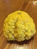 CITRUS limon BUSH - Albero di limone australiano nano - 10 semi freschi-